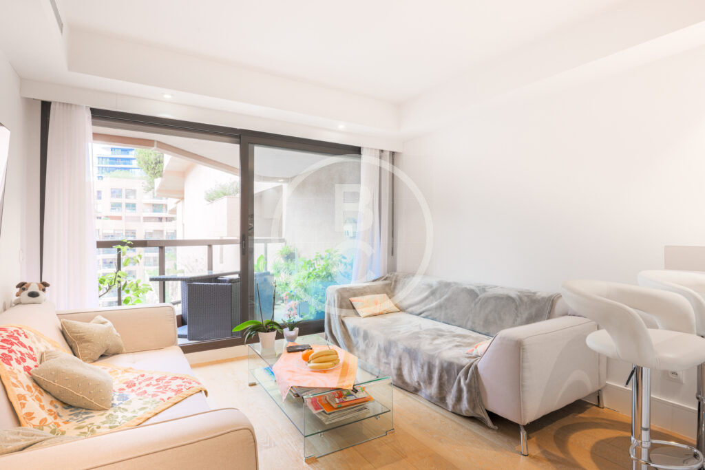 LARGE & PLEASANT STUDIO