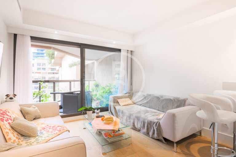 LARGE & PLEASANT STUDIO