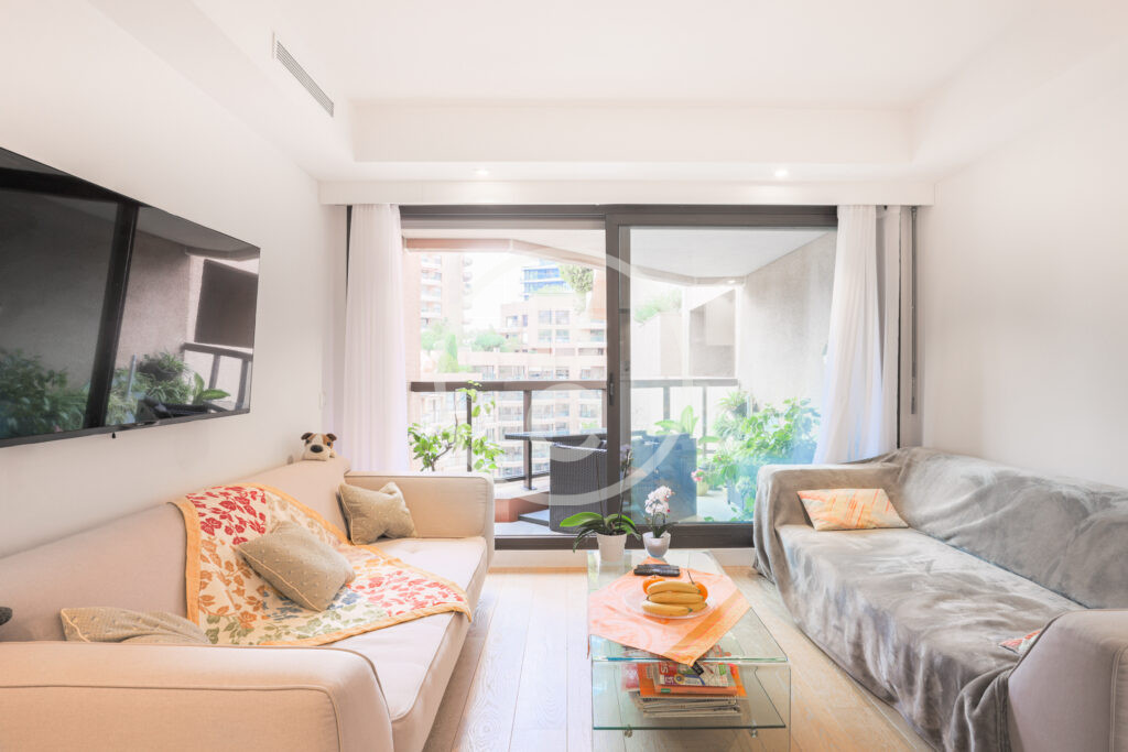 LARGE & PLEASANT STUDIO