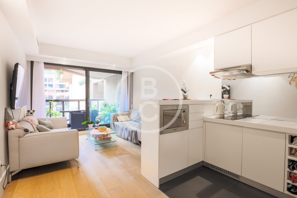 LARGE & PLEASANT STUDIO