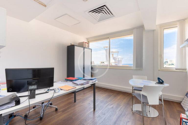 MAGNIFICENT DUPLEX OFFICES WITH SEA VIEW
