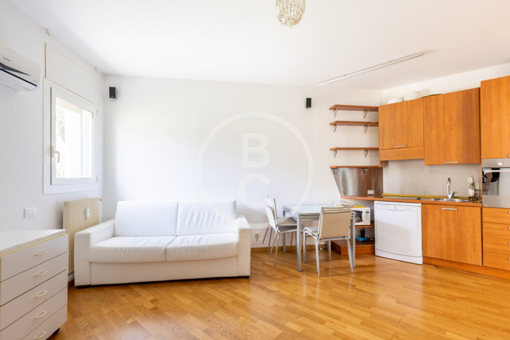ONE BEDROOM APARTMENT - MIXED USE