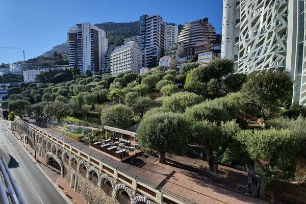 Large renovated studio with terrasse | Princesse Antoinette gardens view