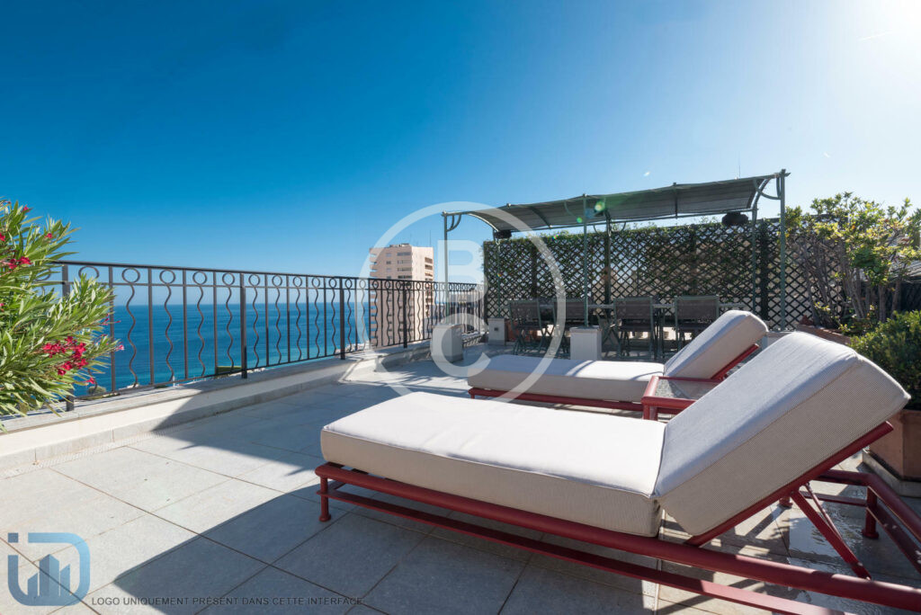 PENTHOUSE & ROOF TOP