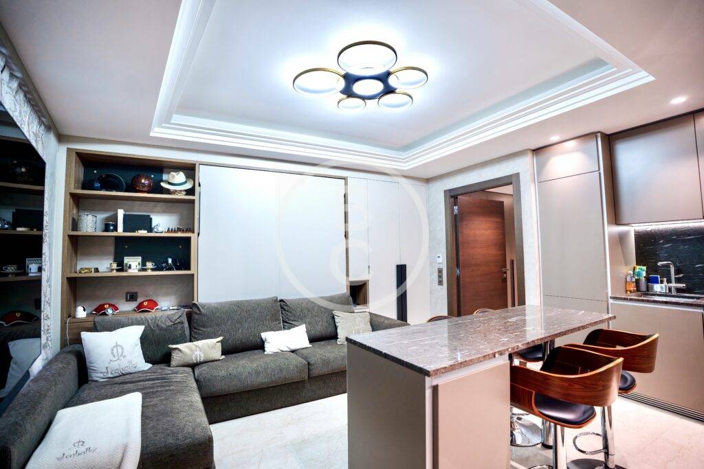 LARGE STUDIO IN A LUXURY RESIDENCE