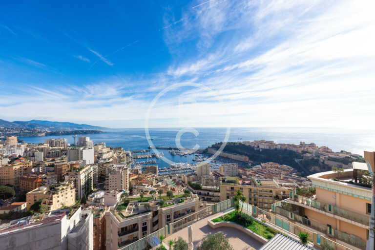 MAGNIFICENT PENTHOUSE WITH SEA VIEW