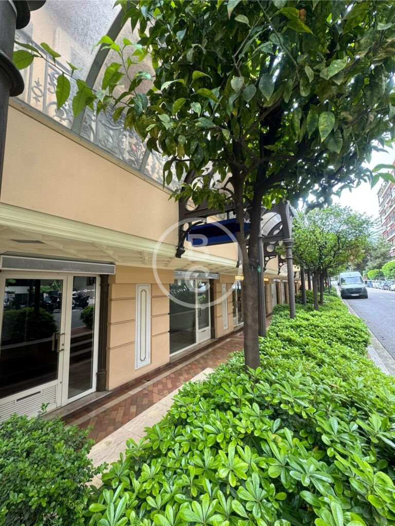 PREMISES IN THE HEART OF THE GOLDEN SQUARE