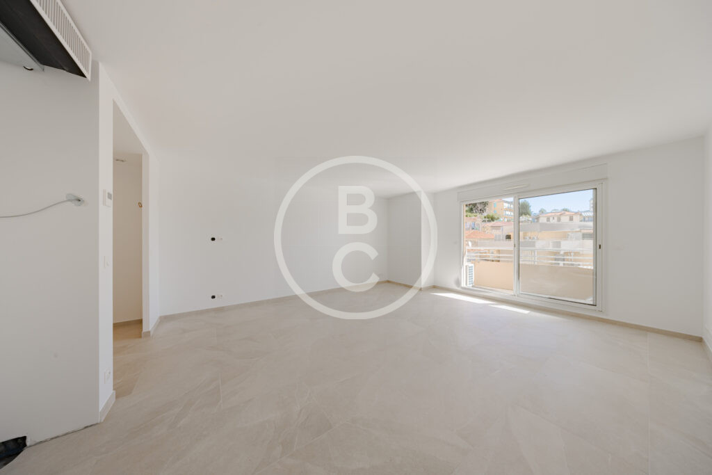 LARGE STUDIO BORDERING MONACO