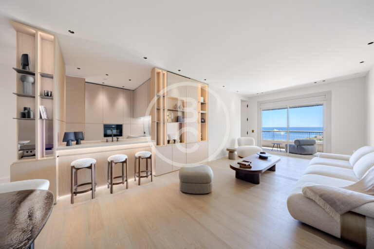 SPLENDID APARTMENT WITH SEA VIEW