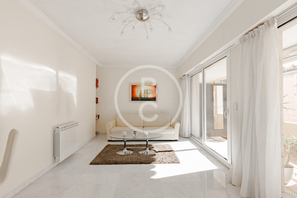 LARGE 1 BEDROOM APARTMENT WITH TERRACE
