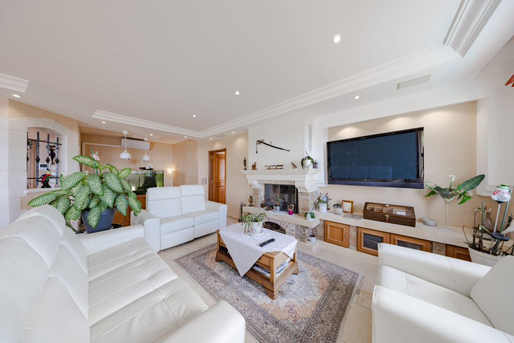 TWO VILLAS NEAR MONACO WITH SWIMMING POOL