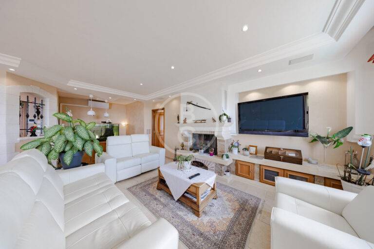 TWO VILLAS NEAR MONACO WITH SWIMMING POOL