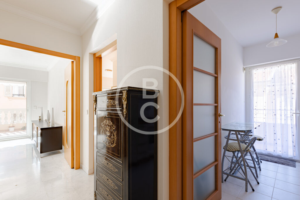LARGE 1 BEDROOM APARTMENT WITH TERRACE