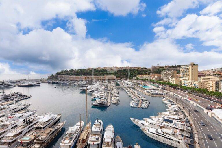 MAGNIFICENT 3 ROOM APARTMENT ON THE PORT OF MONACO