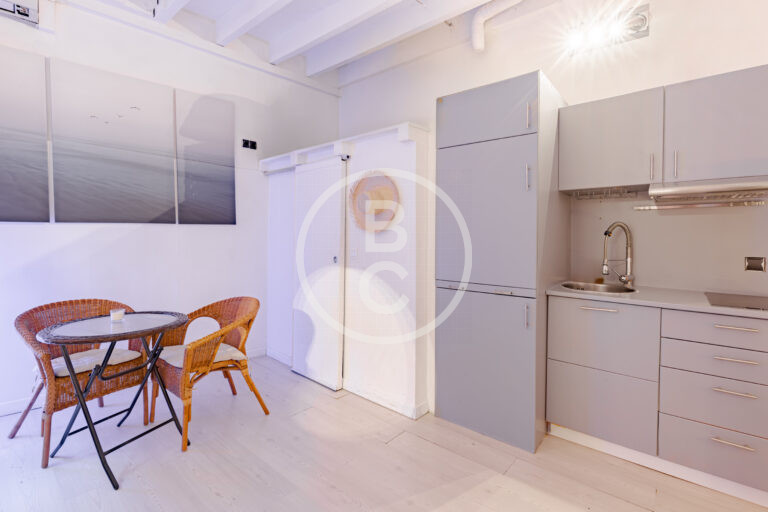 STUDIO - IDEAL PIED A TERRE