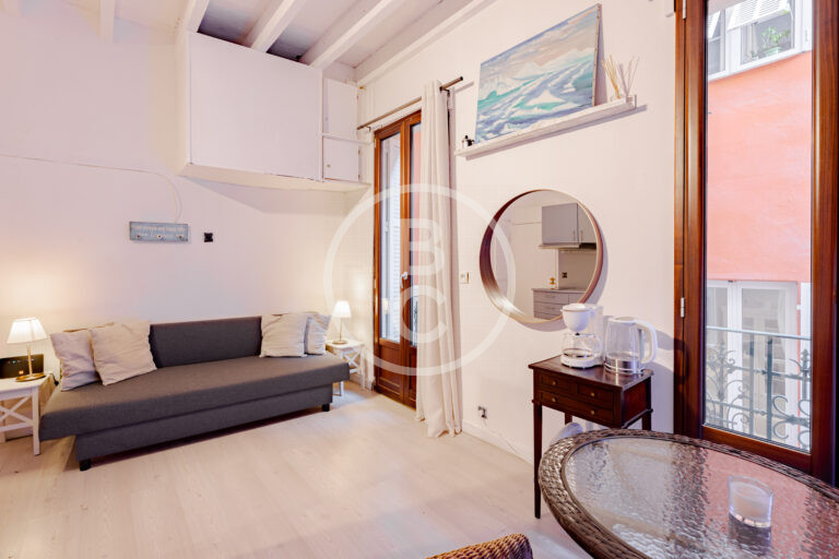 STUDIO - IDEAL PIED A TERRE