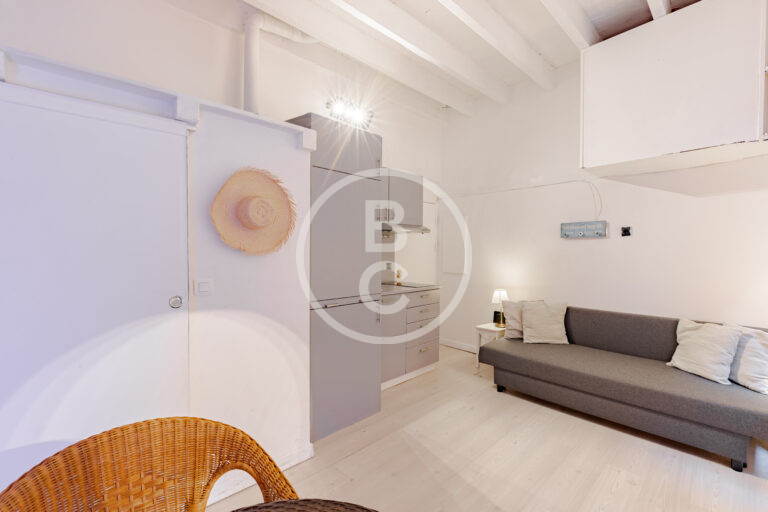 STUDIO - IDEAL PIED A TERRE
