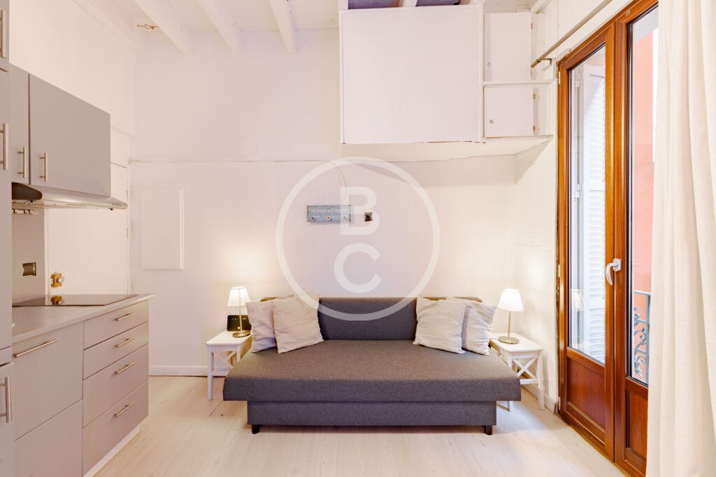 STUDIO - IDEAL PIED A TERRE