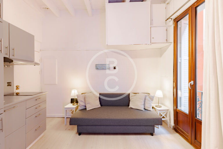 STUDIO - IDEAL PIED A TERRE