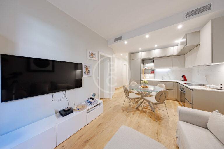 RENOVATED 1/2 BEDROOM APARTMENT WITH TERRACE