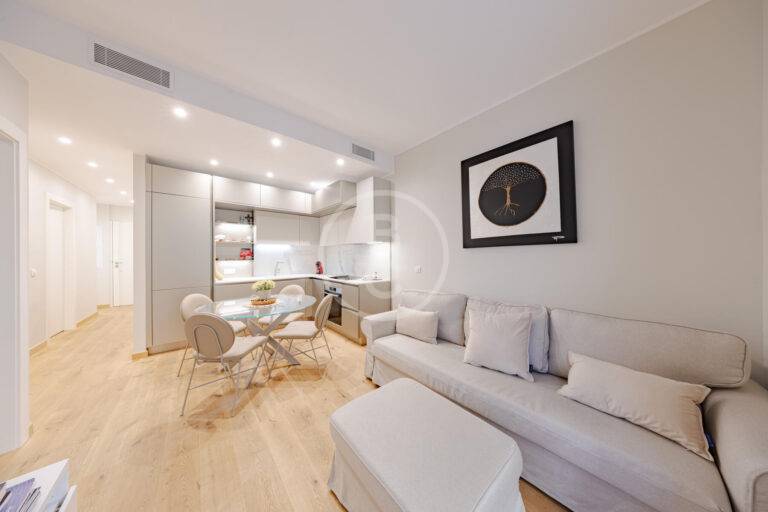 RENOVATED 1/2 BEDROOM APARTMENT WITH TERRACE
