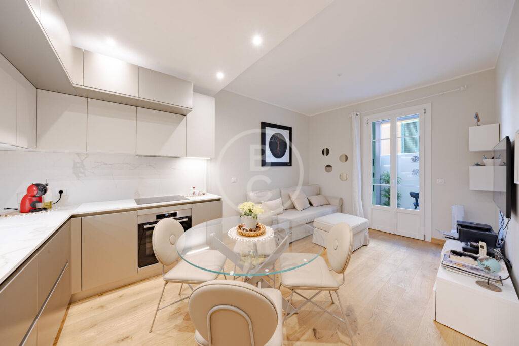 RENOVATED 1/2 BEDROOM APARTMENT WITH TERRACE