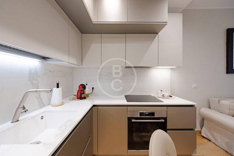 RENOVATED 1/2 BEDROOM APARTMENT WITH TERRACE