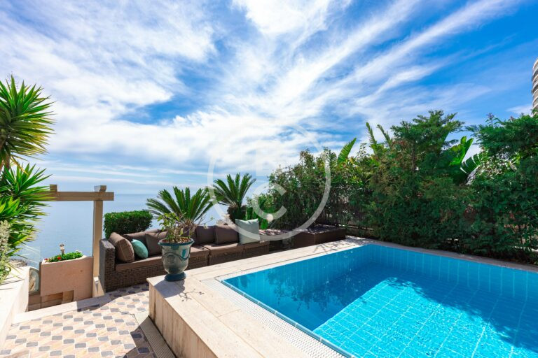 DUPLEX PENTHOUSE WITH POOL