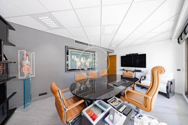SPACIOUS OFFICES - CARRE D'OR