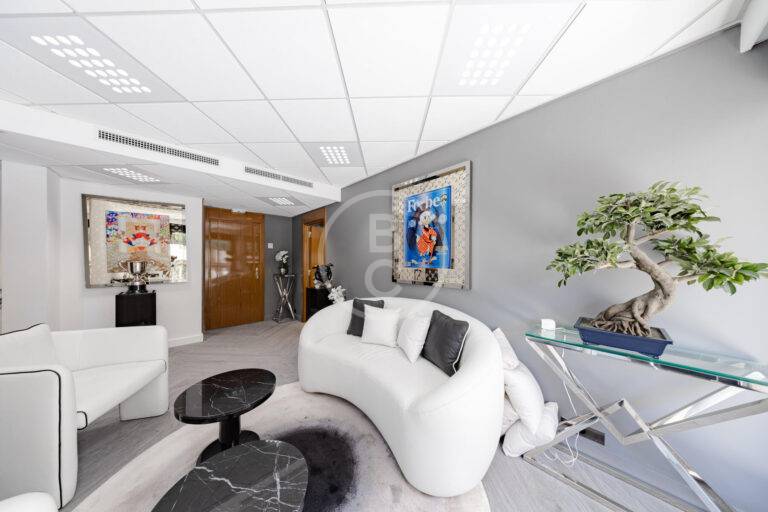SPACIOUS OFFICES - CARRE D'OR
