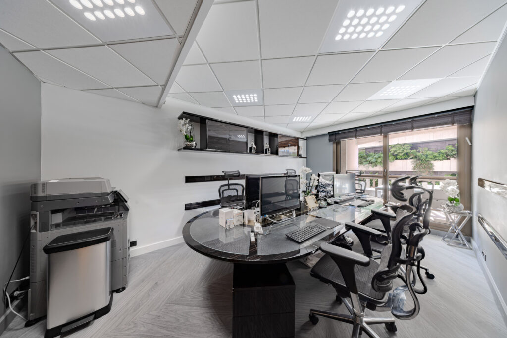 SPACIOUS OFFICES - CARRE D'OR