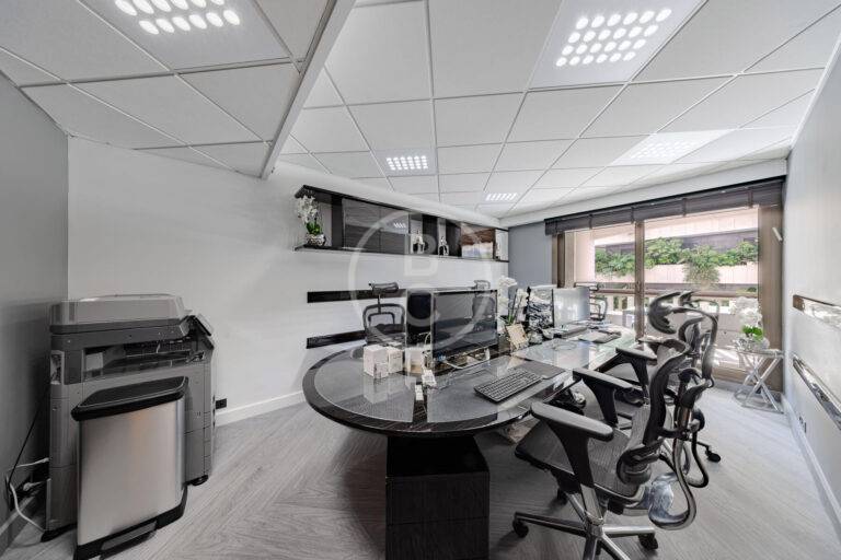 SPACIOUS OFFICES - CARRE D'OR