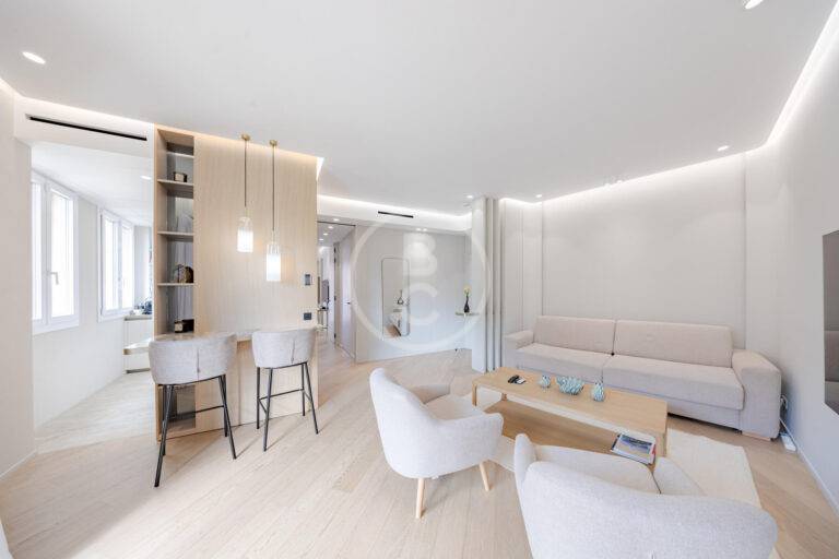 VERY NICE 2 ROOM APARTMENT ON PORT HERCULE