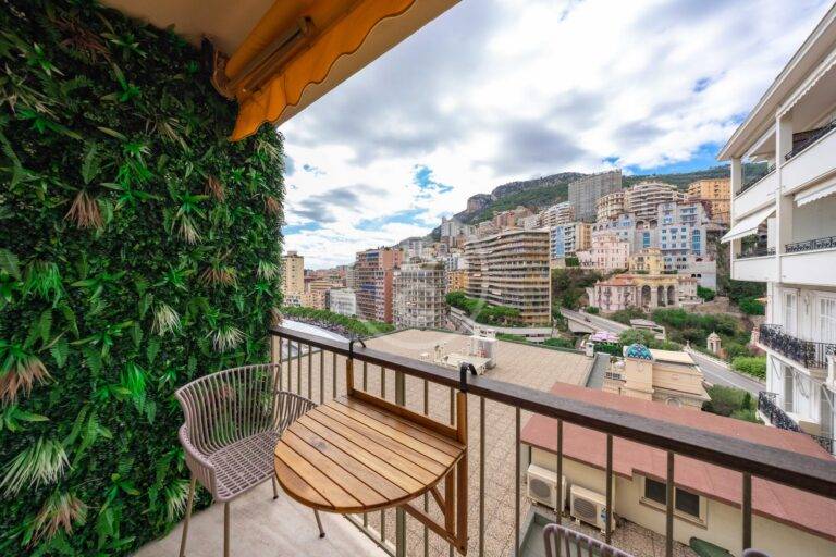 VERY NICE 2 ROOM APARTMENT ON PORT HERCULE