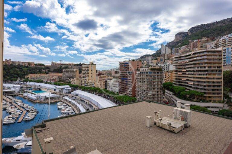 VERY NICE 2 ROOM APARTMENT ON PORT HERCULE