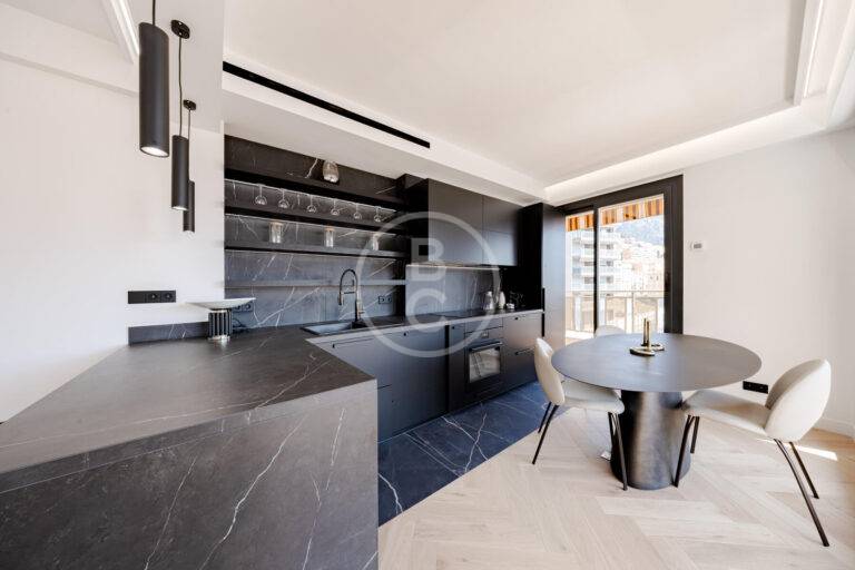 MAGNIFICENT 3 ROOM RENOVATED AND CENTRAL WITH PARKING