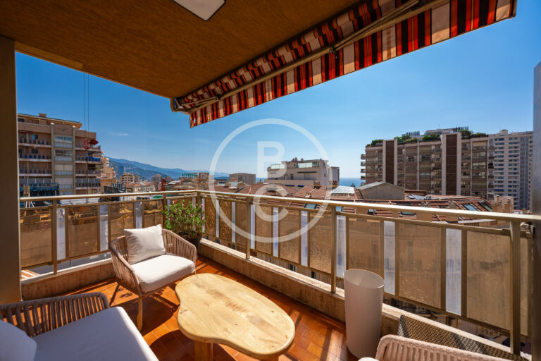 MAGNIFICENT 3 ROOM RENOVATED AND CENTRAL WITH PARKING