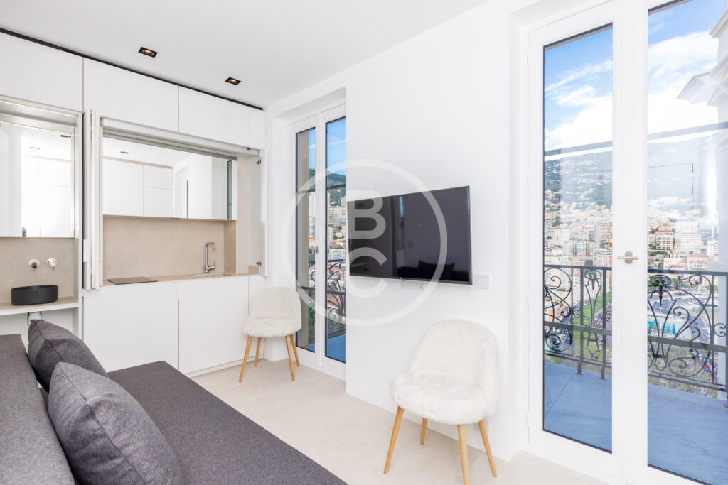 RENOVATED STUDIO SEA VIEW & F1