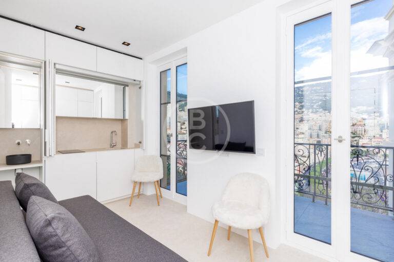 RENOVATED STUDIO SEA VIEW & F1
