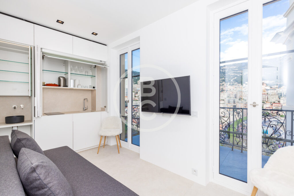RENOVATED STUDIO SEA VIEW & F1