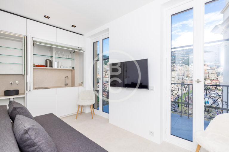 RENOVATED STUDIO SEA VIEW & F1