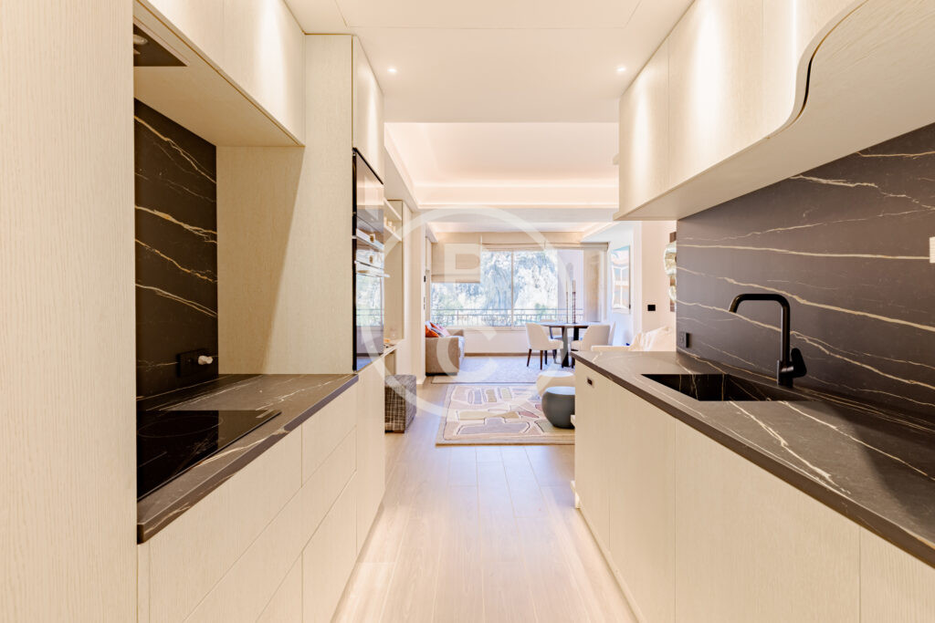 SUMPTUOUS 1-BEDROOM APARTMENT DECORATED WITH ELEGANCE