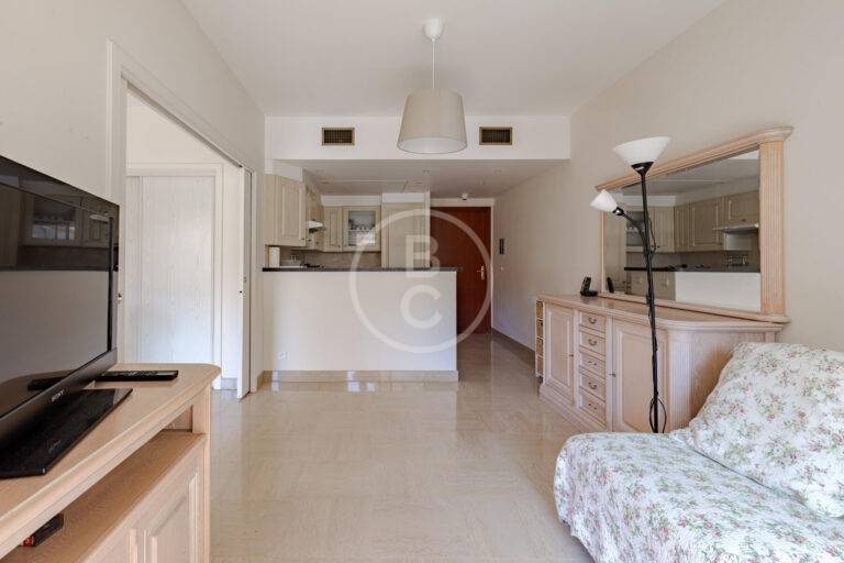 LARGE STUDIO CONVERTED INTO 2 ROOMS