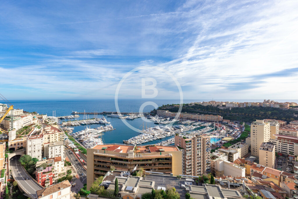 MAGNIFICENT DUPLEX PENTHOUSE WITH SEA VIEW