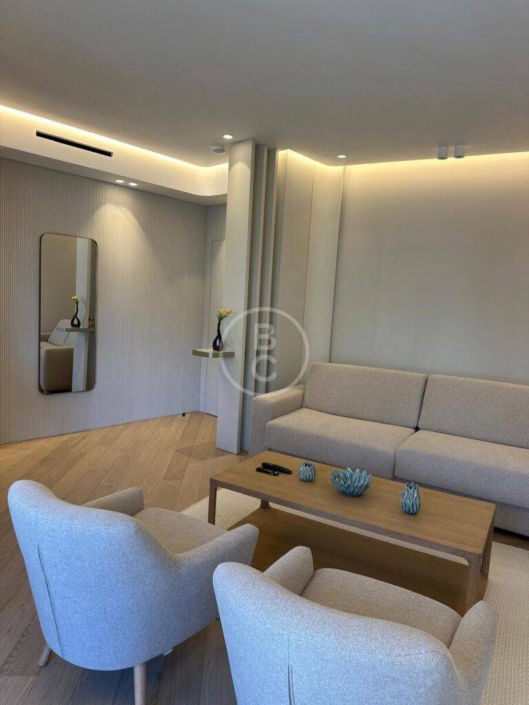 VERY NICE 2 ROOM APARTMENT ON PORT HERCULE